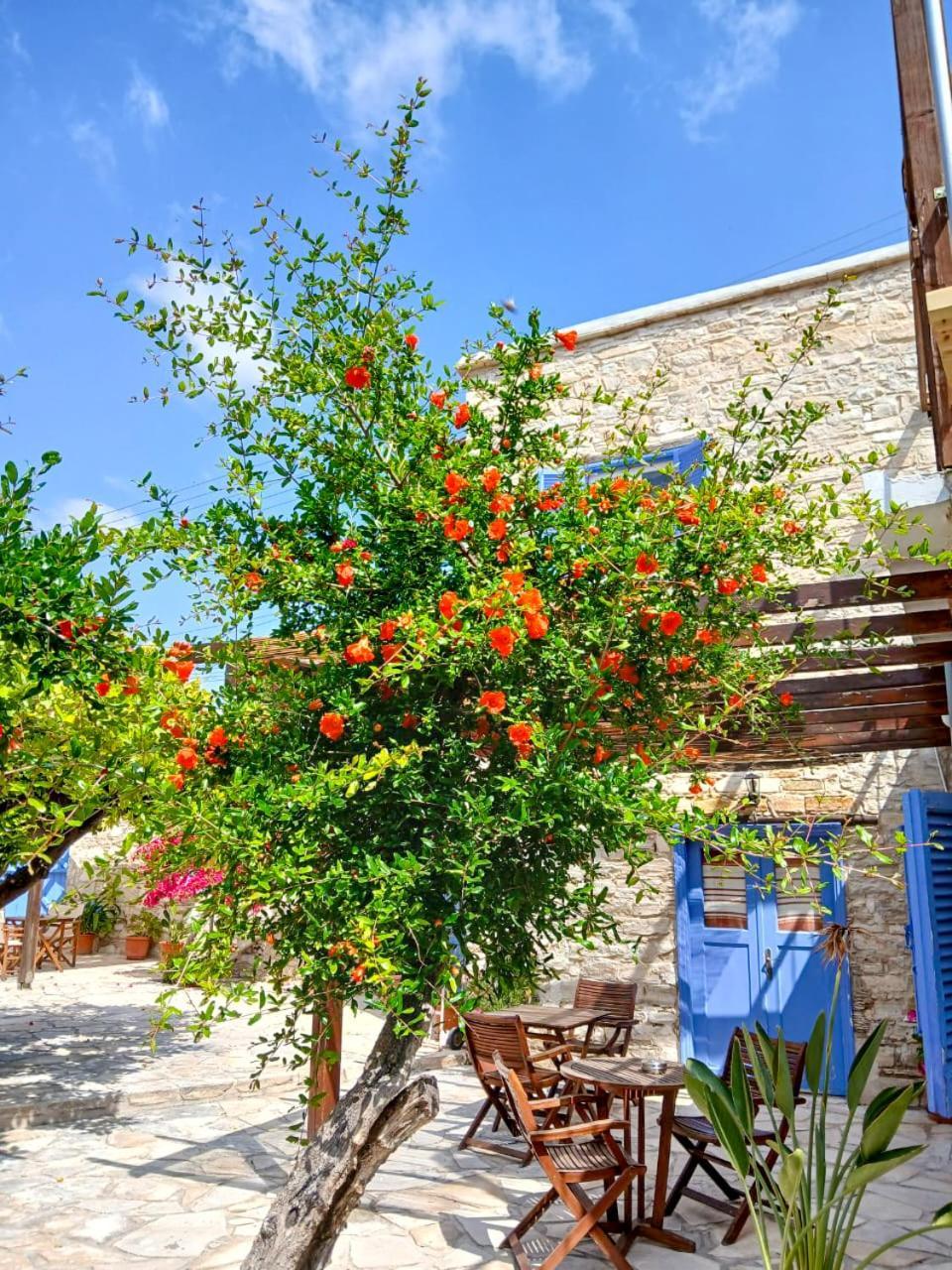 Athena'S Pool Oasis Apartment Skarinou Luaran gambar