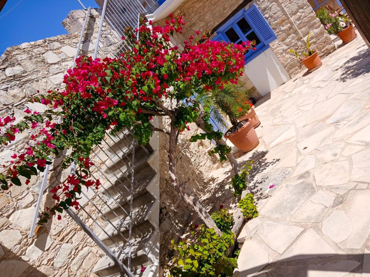 Athena'S Pool Oasis Apartment Skarinou Luaran gambar